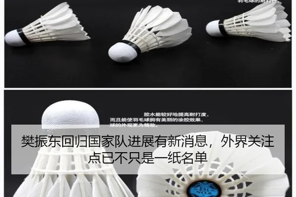 樊振东回归国家队进展有新消息，外界关注点已不只是一纸名单